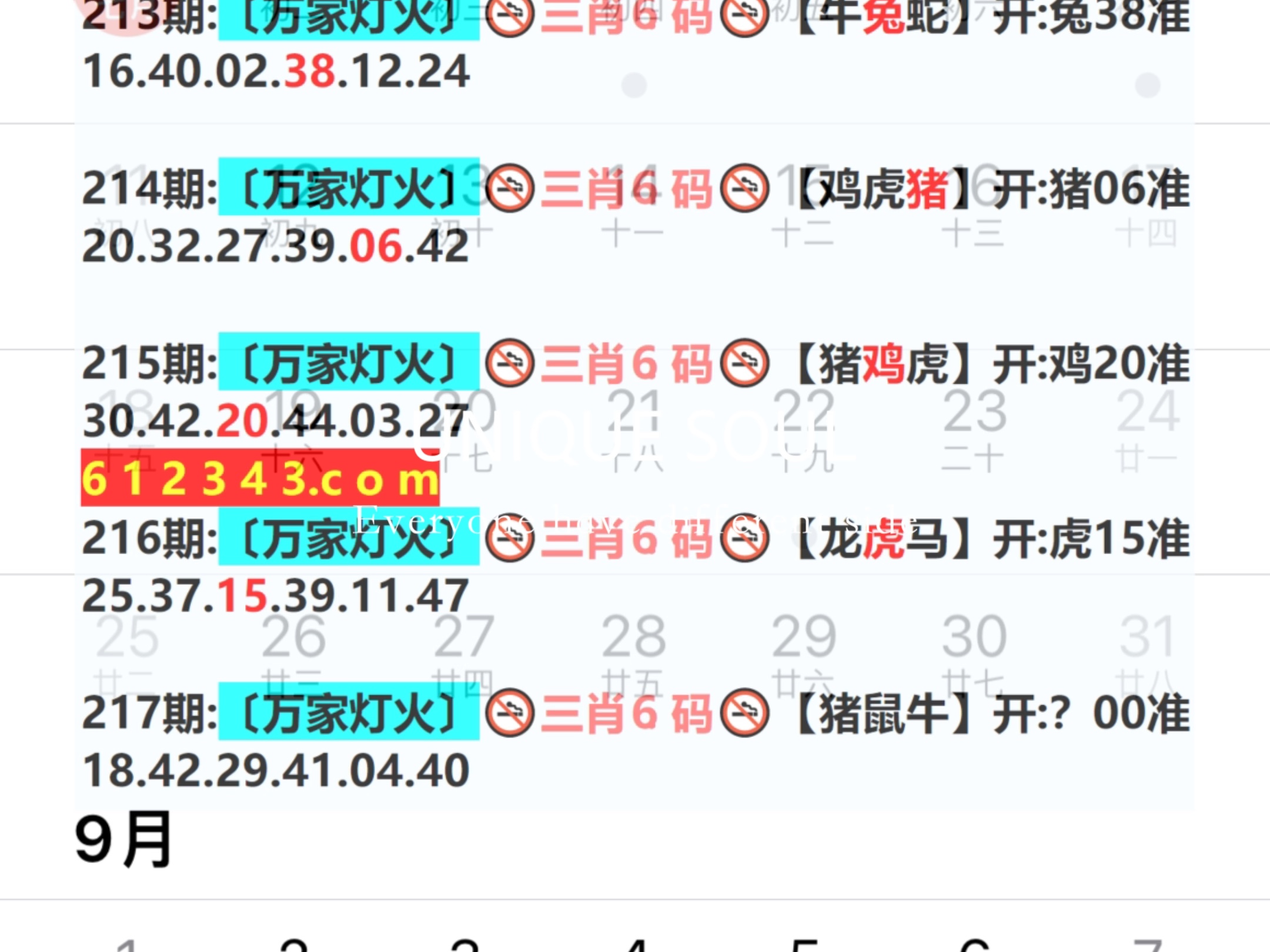 2024年新奥门天天开彩免费资料,解答配置方案_DUP50.850图形版