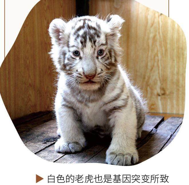 印刷环评 第154页
