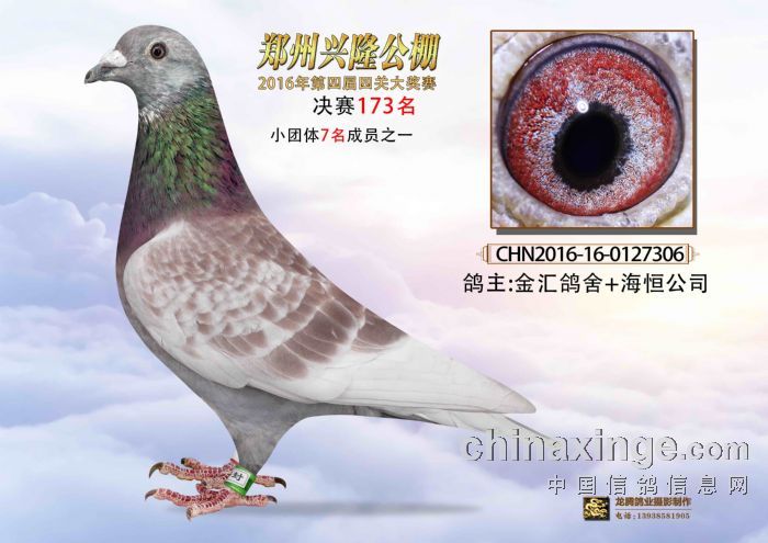 东莞环保检测验收 第143页