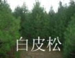 印刷环评 第129页