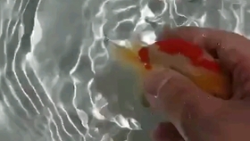 吹膜环评 第202页