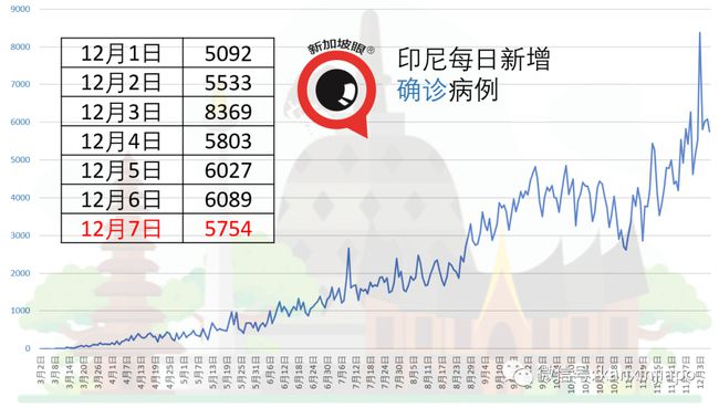 印尼最新确诊病例数及其背后的故事，小巷疗愈之地的探索