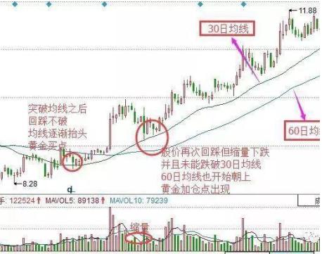 最新黄金股市行情深度解析，把握黄金机会，避免错失遗憾！
