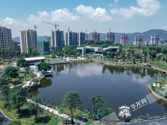 重庆北碚蔡家动态更新，自然美景探索与治愈之旅