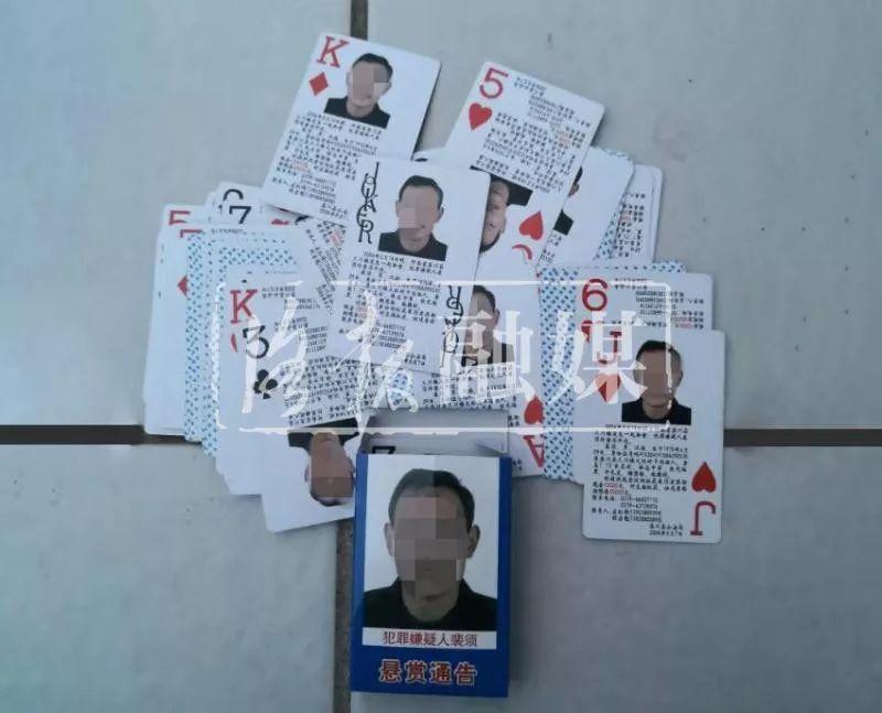 栾川租房信息更新，科技引领智能租房新时代的探索