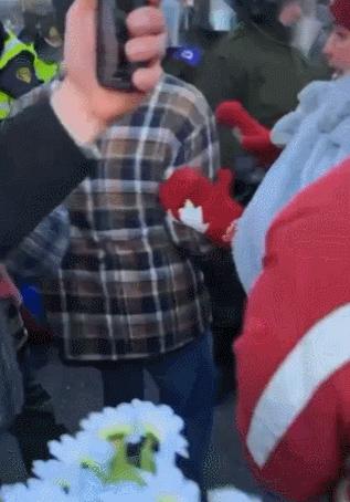 揭秘加拿大最新动态，精彩资讯不容错过！