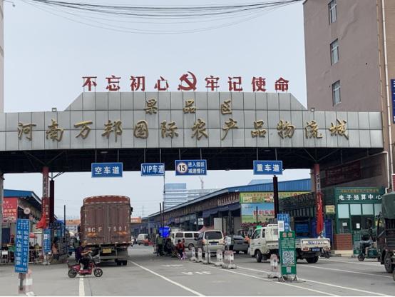 全球香蕉产业面临新的挑战，警惕香蕉最新疫情！