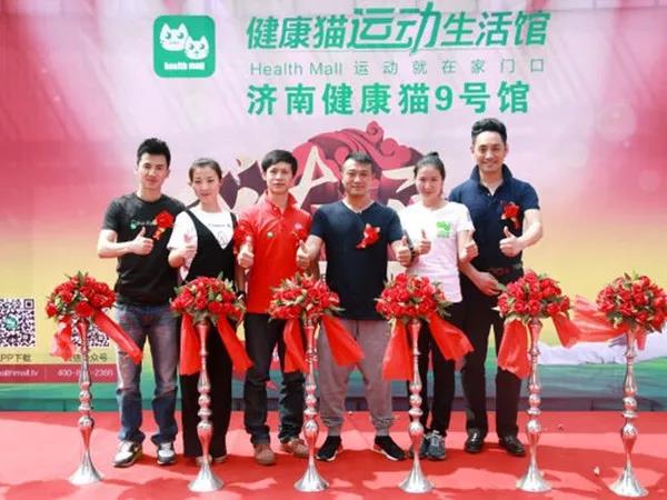 健康猫上市之路揭秘，背景、重大事件与时代地位探索