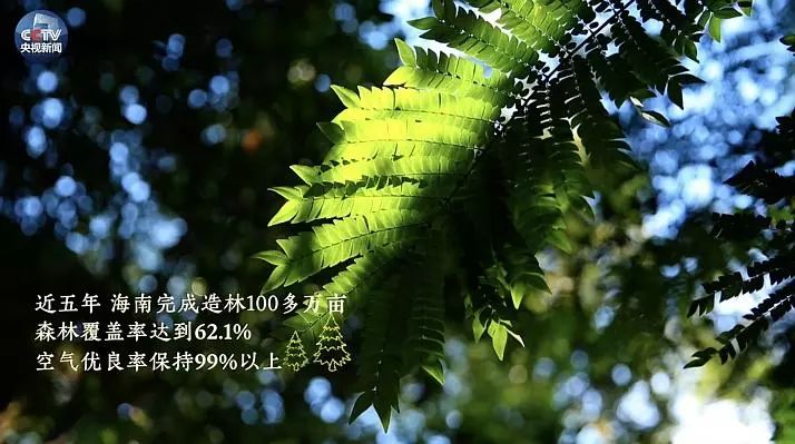 最新鲜自然之旅，一场绝美风景的沉浸式体验